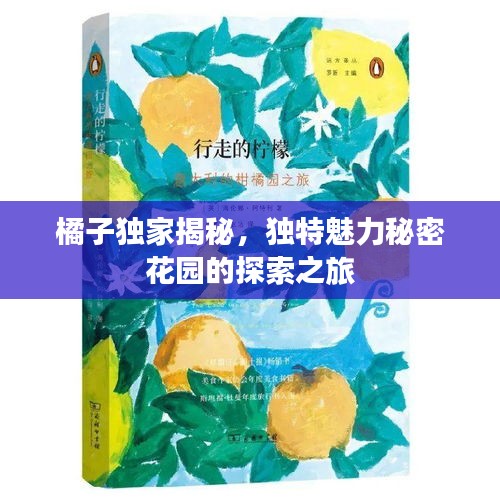 橘子獨(dú)家揭秘，獨(dú)特魅力秘密花園的探索之旅