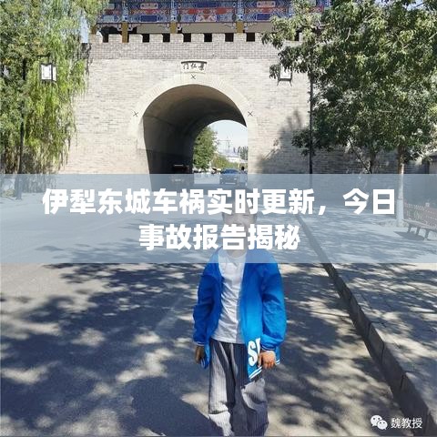 伊犁東城車(chē)禍實(shí)時(shí)更新，今日事故報(bào)告揭秘