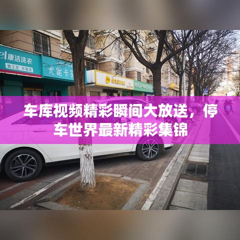 車庫視頻精彩瞬間大放送，停車世界最新精彩集錦