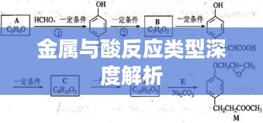 金屬與酸反應(yīng)類(lèi)型深度解析