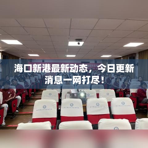 海口新港最新動(dòng)態(tài)，今日更新消息一網(wǎng)打盡！