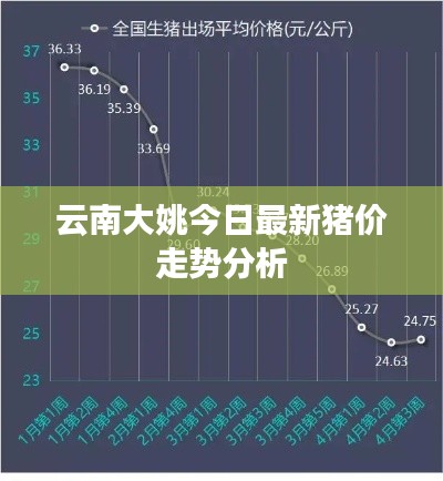 云南大姚今日最新豬價(jià)走勢(shì)分析