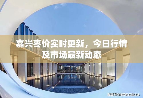 嘉興棗價實時更新，今日行情及市場最新動態(tài)