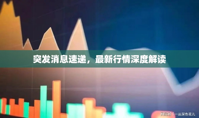 突發(fā)消息速遞，最新行情深度解讀