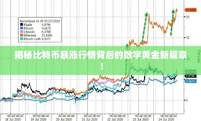 揭秘比特幣暴漲行情背后的數(shù)字黃金新篇章！