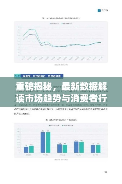 重磅揭秘，最新數(shù)據(jù)解讀市場(chǎng)趨勢(shì)與消費(fèi)者行為，2024以舊換新趨勢(shì)分析