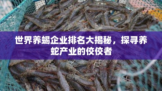 世界養(yǎng)蝎企業(yè)排名大揭秘，探尋養(yǎng)蛇產(chǎn)業(yè)的佼佼者