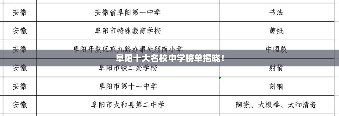 阜陽十大名校中學(xué)榜單揭曉！