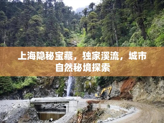 上海隱秘寶藏，獨家溪流，城市自然秘境探索