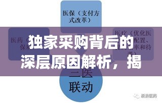 獨(dú)家采購(gòu)背后的深層原因解析，揭秘設(shè)備采購(gòu)背后的因素