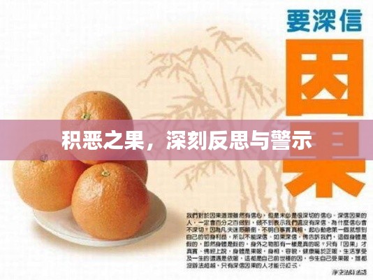積惡之果，深刻反思與警示