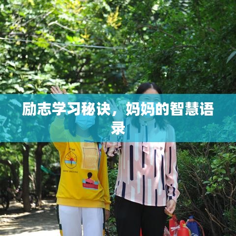 勵志學(xué)習(xí)秘訣，媽媽的智慧語錄