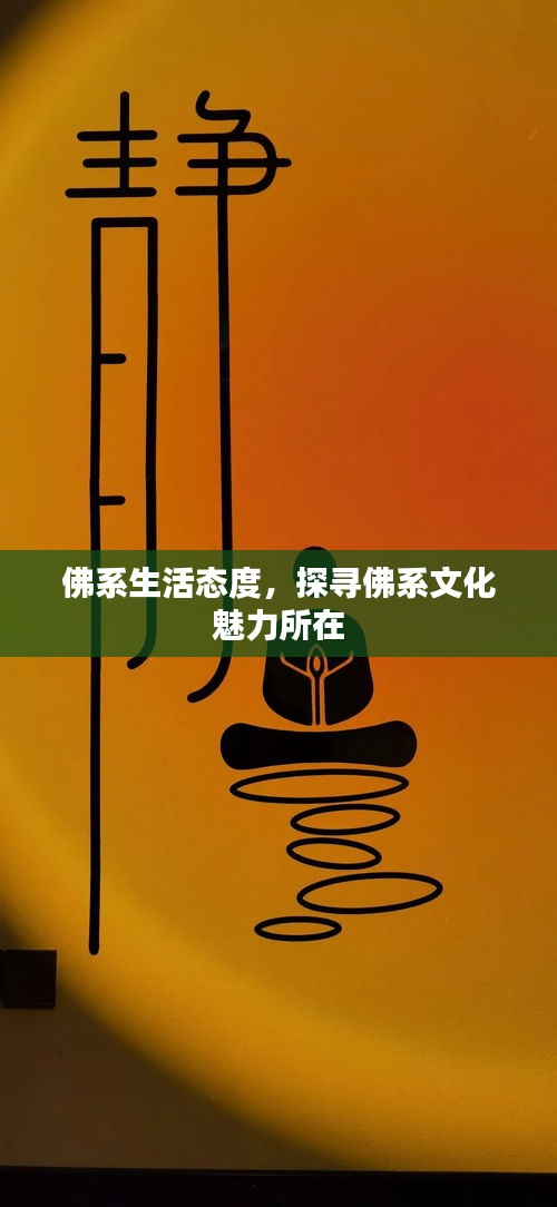 佛系生活態(tài)度，探尋佛系文化魅力所在