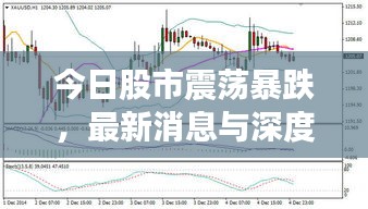 今日股市震蕩暴跌，最新消息與深度分析揭秘原因