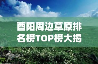 酉陽周邊草原排名榜TOP榜大揭秘！最新排名榜單來襲！