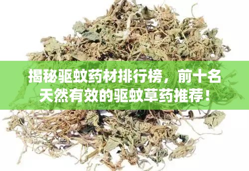 揭秘驅蚊藥材排行榜，前十名天然有效的驅蚊草藥推薦！