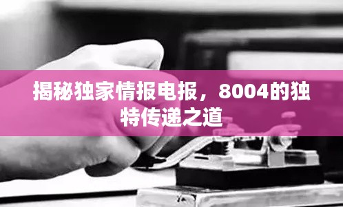 揭秘獨家情報電報，8004的獨特傳遞之道