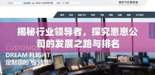 揭秘行業(yè)領(lǐng)導(dǎo)者，探究崽崽公司的發(fā)展之路與排名