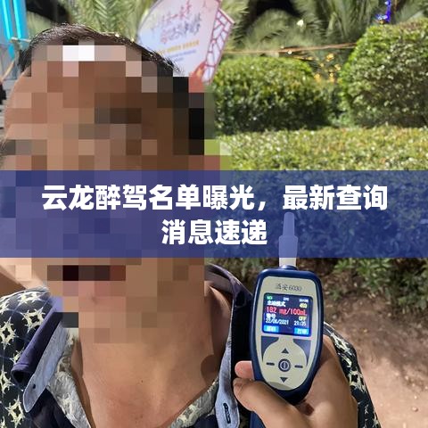 云龍醉駕名單曝光，最新查詢消息速遞
