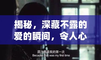 揭秘，深藏不露的愛的瞬間，令人心動不已！