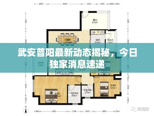 武安普陽最新動態(tài)揭秘，今日獨家消息速遞