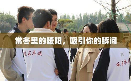 常冬里的暖陽(yáng)，吸引你的瞬間