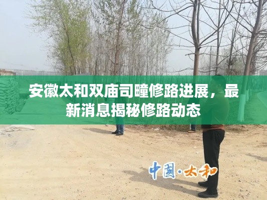 安徽太和雙廟司疃修路進(jìn)展，最新消息揭秘修路動(dòng)態(tài)