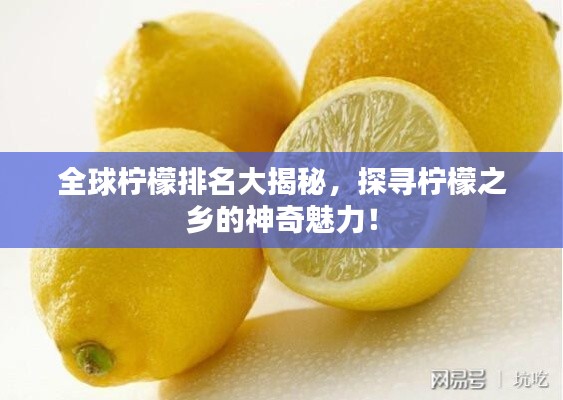 全球檸檬排名大揭秘，探尋檸檬之鄉(xiāng)的神奇魅力！