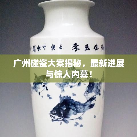 廣州碰瓷大案揭秘，最新進展與驚人內(nèi)幕！