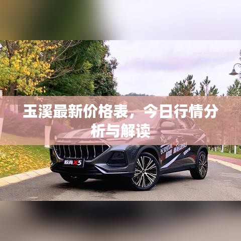 玉溪最新價(jià)格表，今日行情分析與解讀