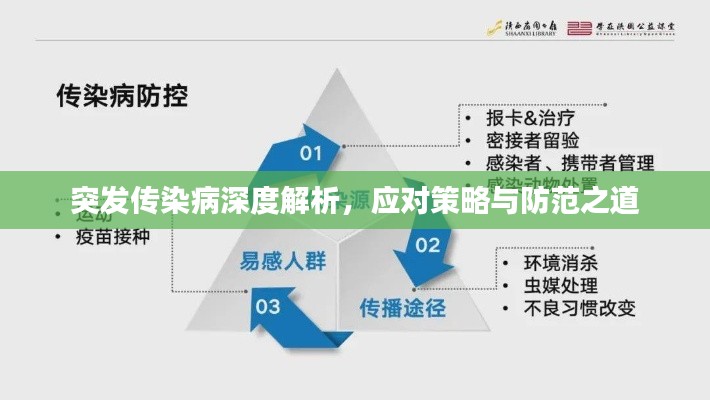 突發(fā)傳染病深度解析，應(yīng)對策略與防范之道