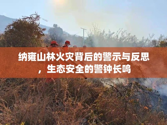 納雍山林火災(zāi)背后的警示與反思，生態(tài)安全的警鐘長鳴