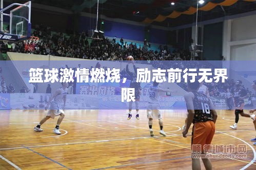 籃球激情燃燒，勵(lì)志前行無界限
