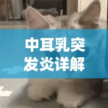 中耳乳突發(fā)炎詳解，定義、誘因、癥狀與治療方案