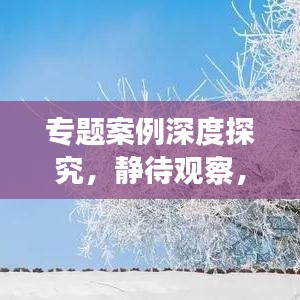 專題案例深度探究，靜待觀察，揭秘未知