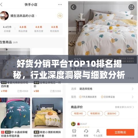 好貨分銷平臺TOP10排名揭秘，行業(yè)深度洞察與細致分析