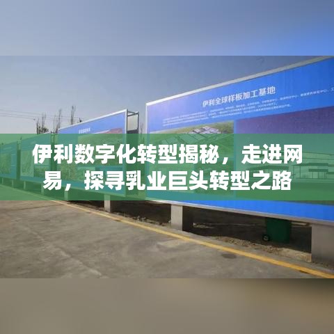 伊利數(shù)字化轉(zhuǎn)型揭秘，走進(jìn)網(wǎng)易，探尋乳業(yè)巨頭轉(zhuǎn)型之路