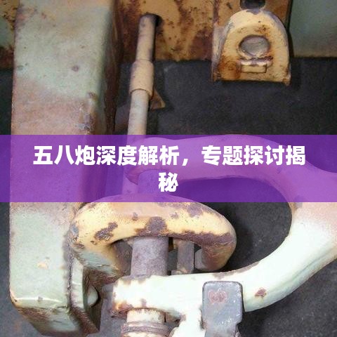 五八炮深度解析，專題探討揭秘