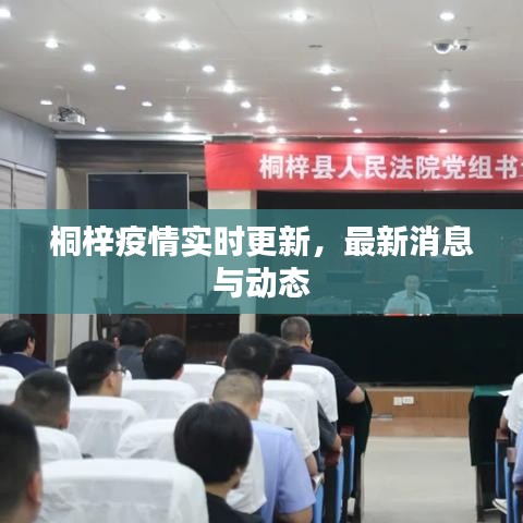 桐梓疫情實時更新，最新消息與動態(tài)