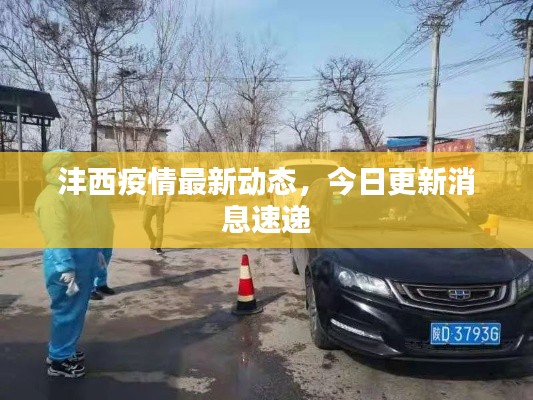 灃西疫情最新動(dòng)態(tài)，今日更新消息速遞