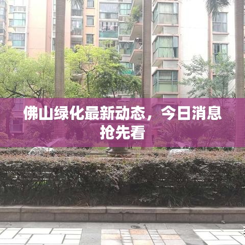 佛山綠化最新動態(tài)，今日消息搶先看