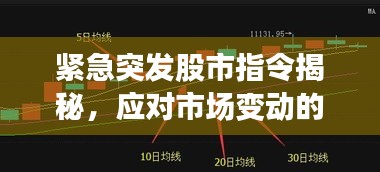 緊急突發(fā)股市指令揭秘，應(yīng)對(duì)市場(chǎng)變動(dòng)的關(guān)鍵策略指南