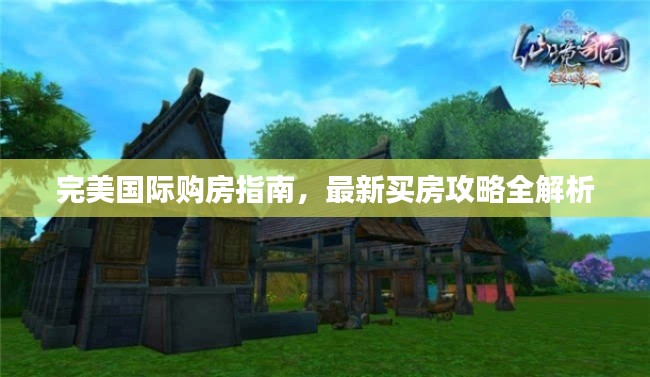 完美國際購房指南，最新買房攻略全解析