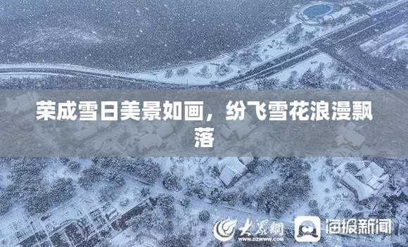 榮成雪日美景如畫，紛飛雪花浪漫飄落