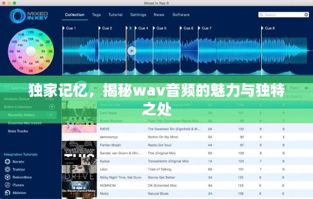 獨(dú)家記憶，揭秘wav音頻的魅力與獨(dú)特之處