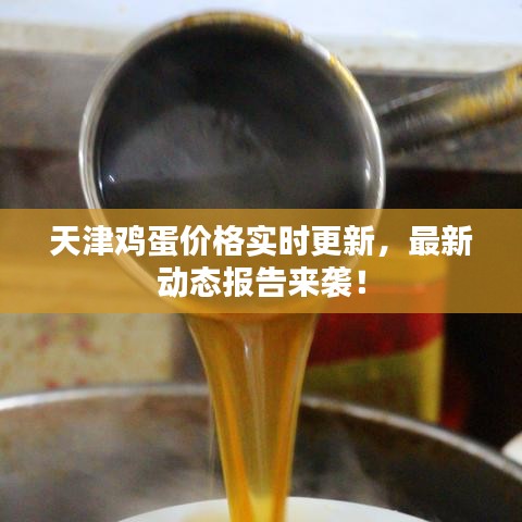 天津雞蛋價格實時更新，最新動態(tài)報告來襲！