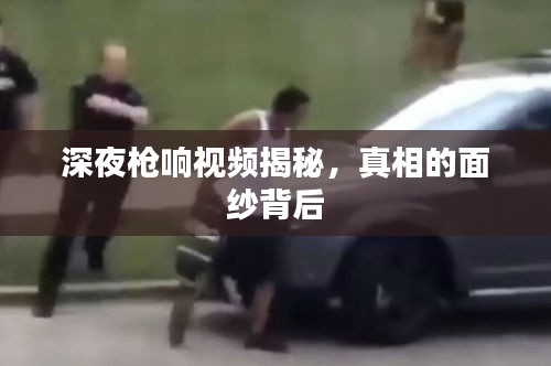 深夜槍響視頻揭秘，真相的面紗背后