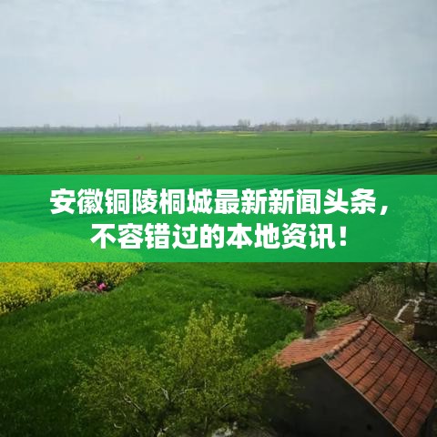 安徽銅陵桐城最新新聞頭條，不容錯過的本地資訊！