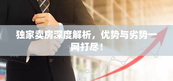 獨(dú)家賣房深度解析，優(yōu)勢與劣勢一網(wǎng)打盡！