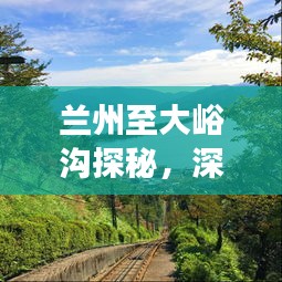 蘭州至大峪溝探秘，深度旅游攻略，暢游自然美景！